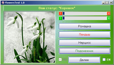 Screenshot of the application FlowersTest - #3