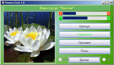 Screenshot of the application FlowersTest - #4