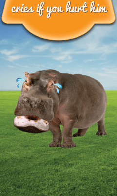 Screenshot of the application Talking Hippo - #4