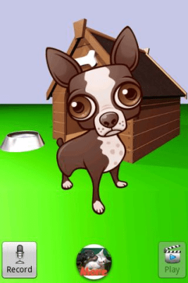 Screenshot of the application Talking Chihuahua - #1