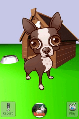 Screenshot of the application Talking Chihuahua - #2