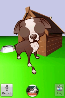 Screenshot of the application Talking Chihuahua - #3