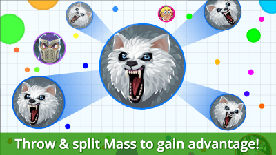 Screenshot of the application Agar.io - #5