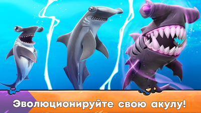 Screenshot of the application Hungry Shark Evolution - #3