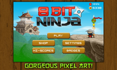 Screenshot of the application 8bit Ninja - #1