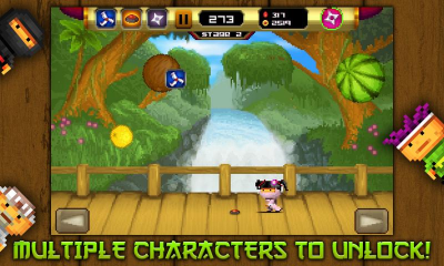 Screenshot of the application 8bit Ninja - #4