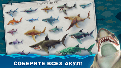 Screenshot of the application Hungry Shark World - #2