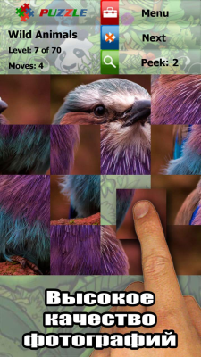 Screenshot of the application Wild animal puzzles - #4