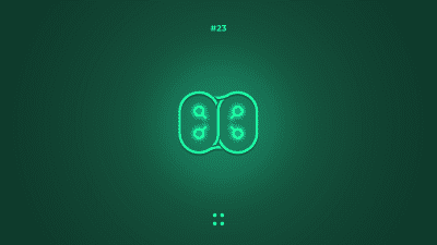 Screenshot of the application GEX - #5