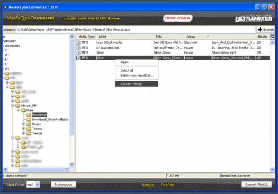 Screenshot of the application MediaType Converter - #1