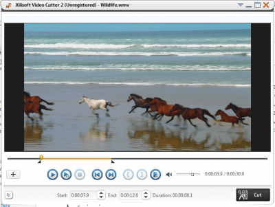 Screenshot of the application Xilisoft Video Cutter 2 - #1