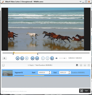 Screenshot of the application Xilisoft Video Cutter 2 - #2
