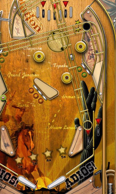 Screenshot of the application Pinball Deluxe - #7