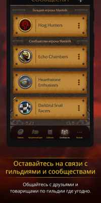 Screenshot of the application WoW Companion - #3