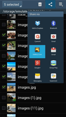 Screenshot of the application Gallery Lock (Hide pictures) - #8
