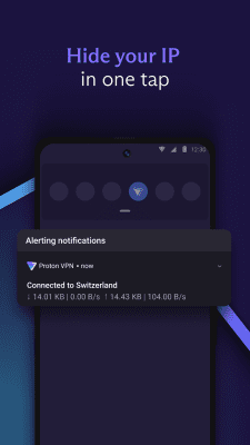 Screenshot of the application ProtonVPN - #6