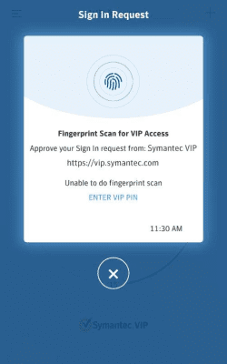 Screenshot of the application VIP Access - #3