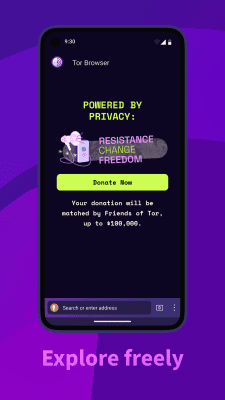 Screenshot of the application Tor Browser - #5