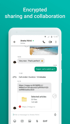 Screenshot of the application MEGA - #4