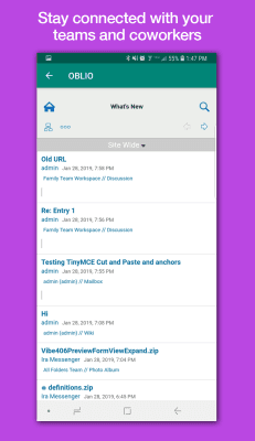 Screenshot of the application Micro Focus Vibe - #3