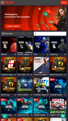 Screenshot of the application Pin Up - #3