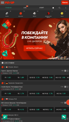 Screenshot of the application Pin Up - #4