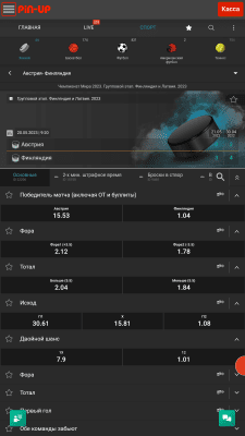 Screenshot of the application Pin Up - #5