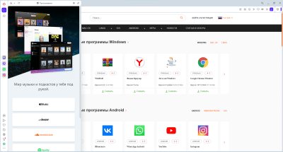 Screenshot of the application Opera for Windows - #4