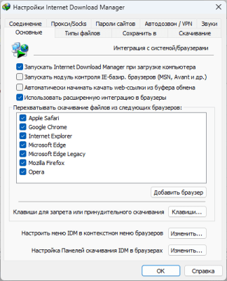 Screenshot of the application Internet Download Manager - #4