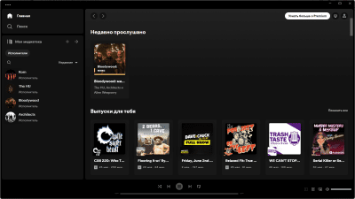 Screenshot of the application Spotify for Windows - #2