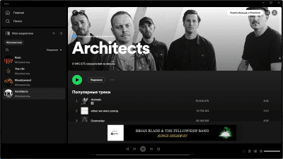 Screenshot of the application Spotify for Windows - #3