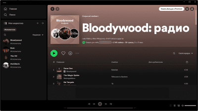 Screenshot of the application Spotify for Windows - #4