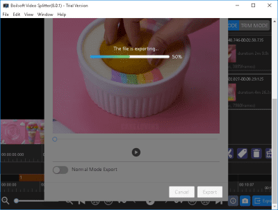Screenshot of the application Video Splitter - #5