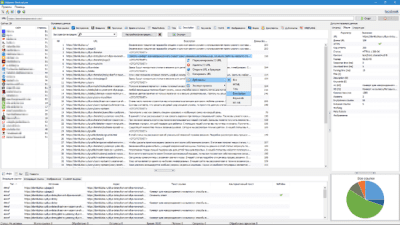 Screenshot of the application Majento SiteAnalyzer - #6