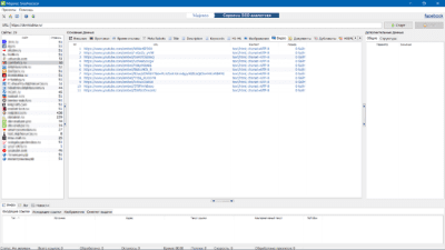 Screenshot of the application Majento SiteAnalyzer - #7