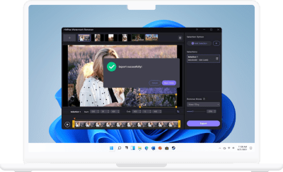 Screenshot of the application HitPaw Watermark Remover - #3