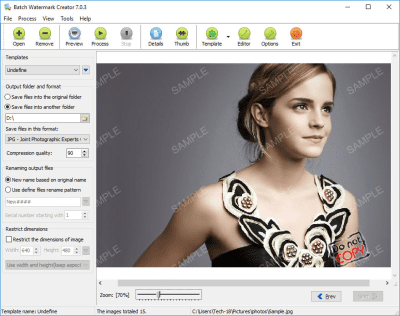Screenshot of the application Batch Watermark Creator - #4