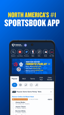 Screenshot of the application FanDuel - #1