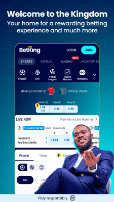 Screenshot of the application BetKing - #2