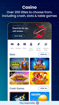 Screenshot of the application BetKing - #4