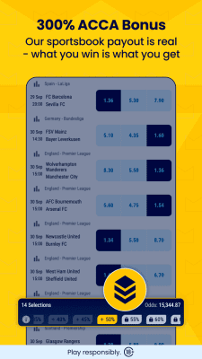 Screenshot of the application BetKing - #5