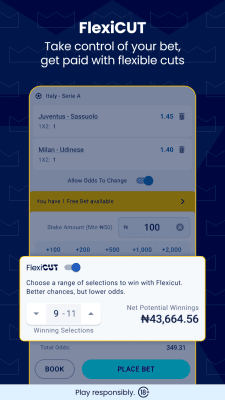 Screenshot of the application BetKing - #6