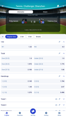 Screenshot of the application Paripesa - #6