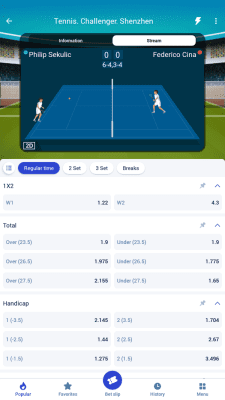 Screenshot of the application Paripesa - #7