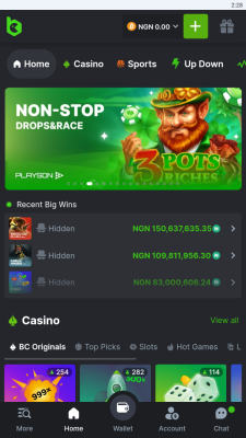 Screenshot of the application BC Game - #4