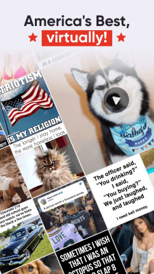 Screenshot of the application ABPV - #4