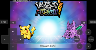 Screenshot of the application Pokemon Infinite Fusion - #3