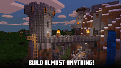 Screenshot of the application Minecraft 1.19 - #2