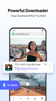 Screenshot of the application Phoenix Browser - #3