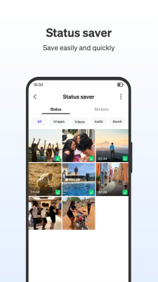 Screenshot of the application Phoenix Browser - #4